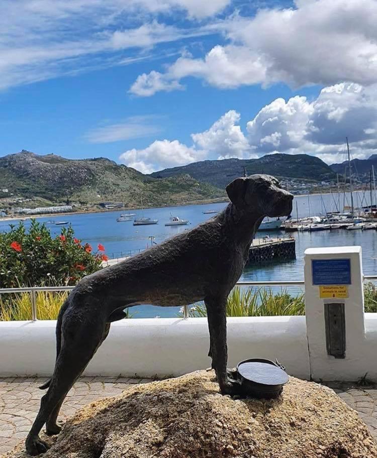 Vila Eindelik Simonʼs Town Exteriér fotografie
